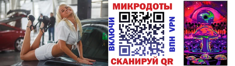 Псилоцибиновые грибы Cubensis  Цоци-Юрт 